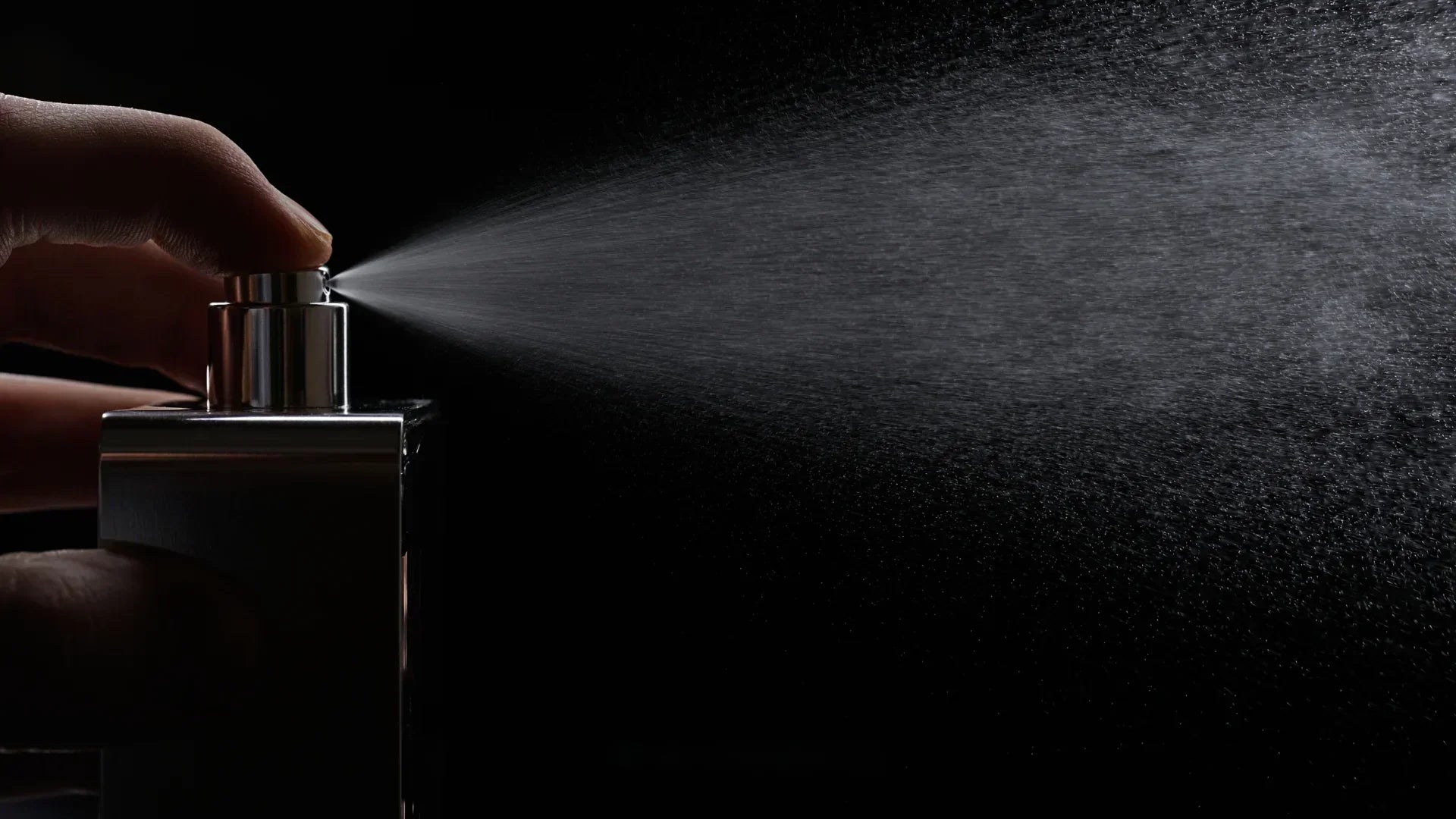 Perfumes That Attract Men: 16 Compliment-Getting Scents